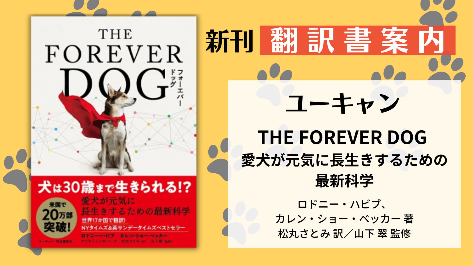 翻訳書案内『THE FOREVER DOG 愛犬が元気に長生きするための最新科学』（ユーキャン）