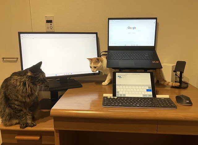 飼い猫がよく遊びに来るという仕事用のデスク。辞書は物書堂アプリ（iPad）をメインで使用し、電子辞書も併用。自作の用語集・略語集等はPDICに入れて検索できるようにしている。